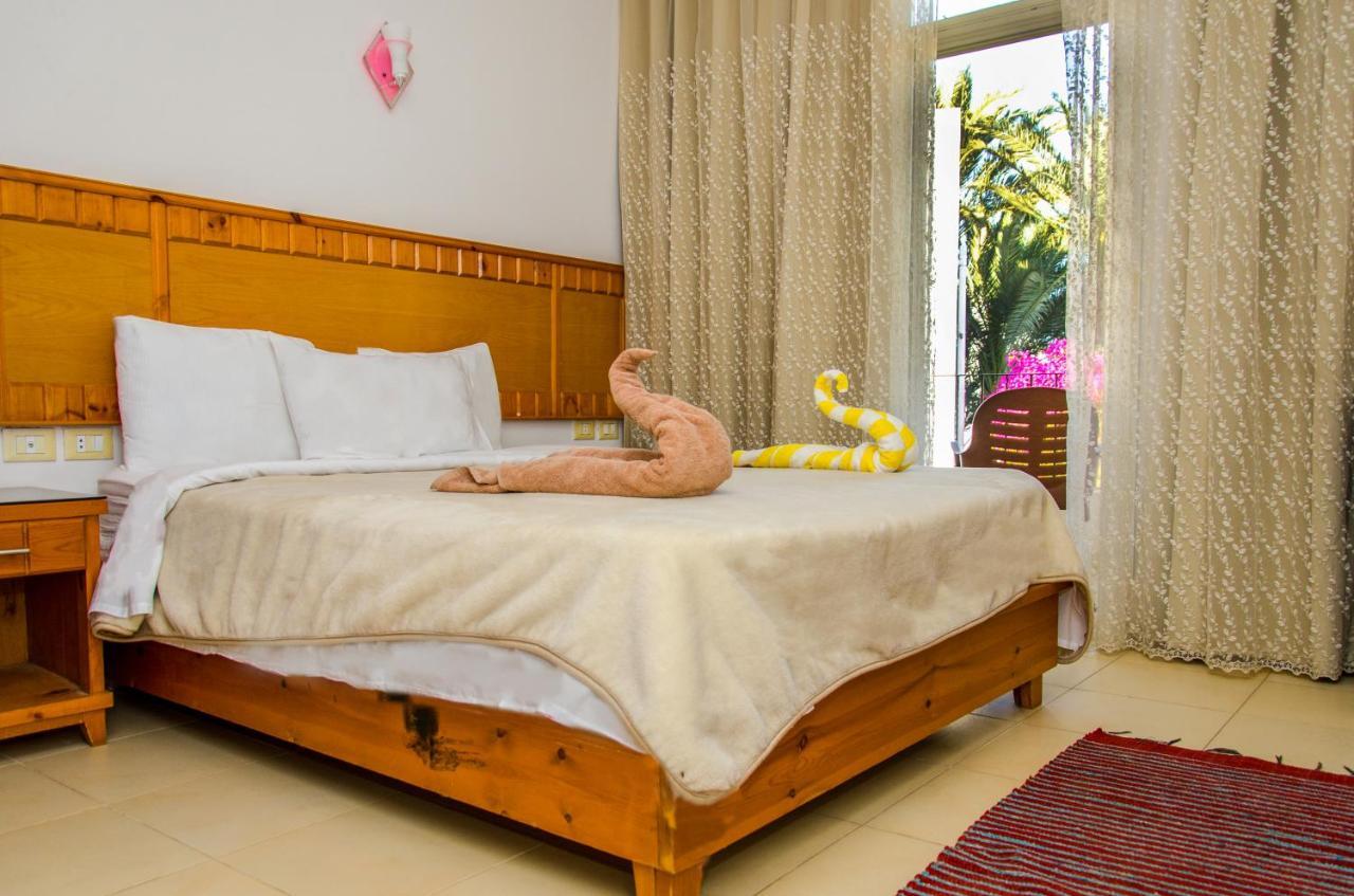 New Yalla Hotel Дахаб Екстер'єр фото
