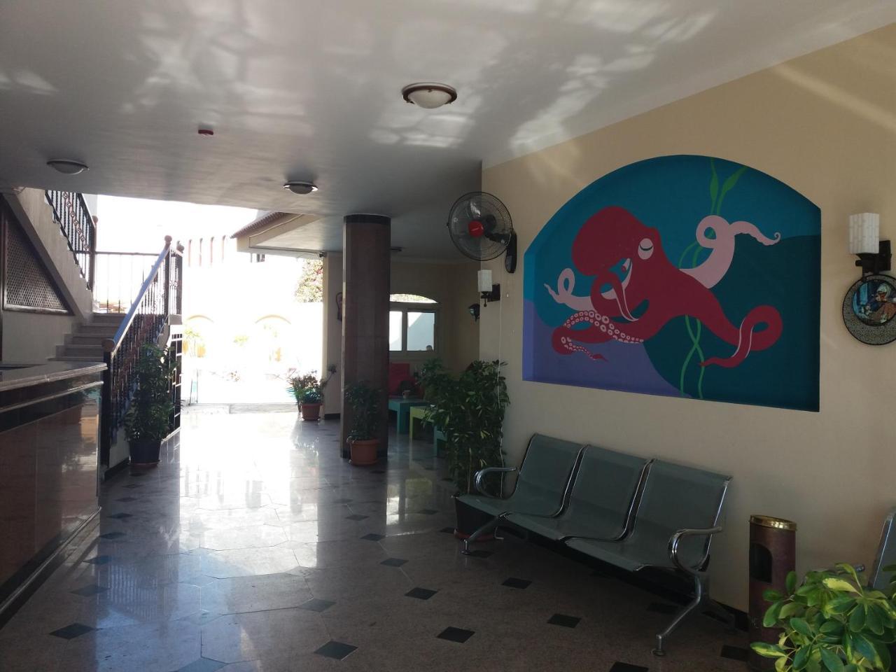 New Yalla Hotel Дахаб Екстер'єр фото